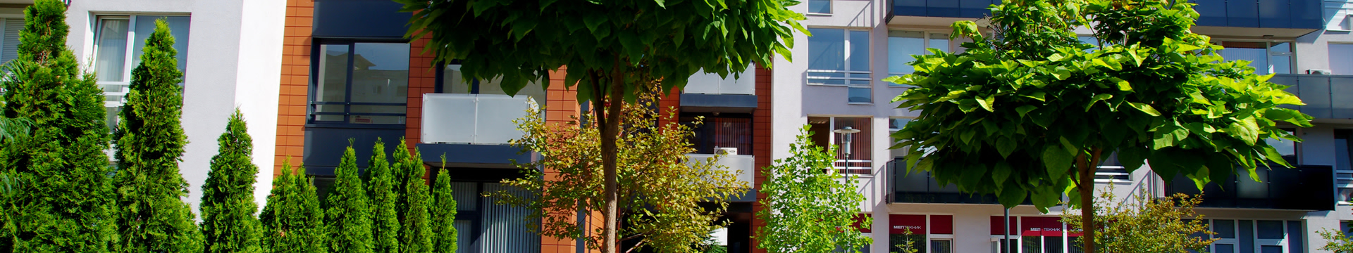 The Building 2